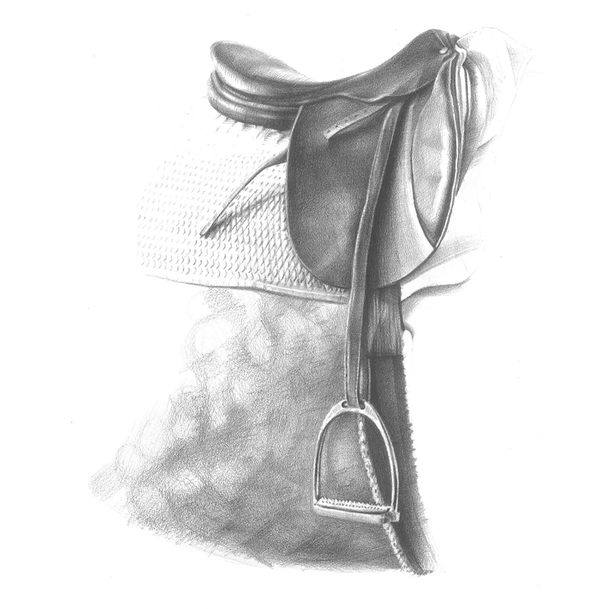Saddle.jpg