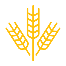 wheat-grasses.png