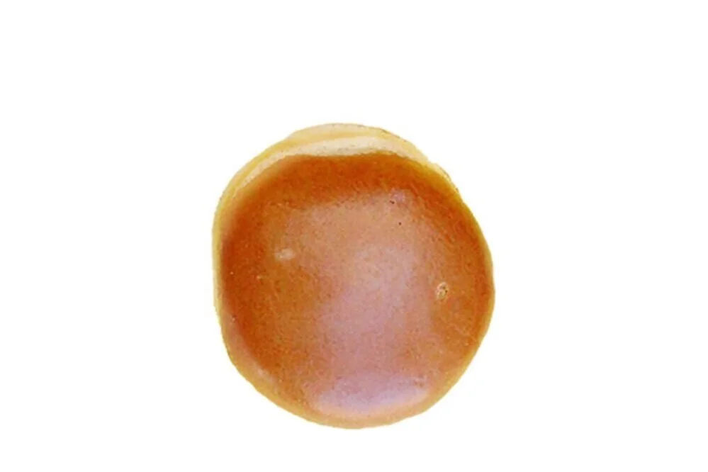City-Bread-Brioche-Hamburger.jpg