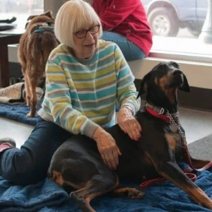 DogForOwners_Pic1.jpg