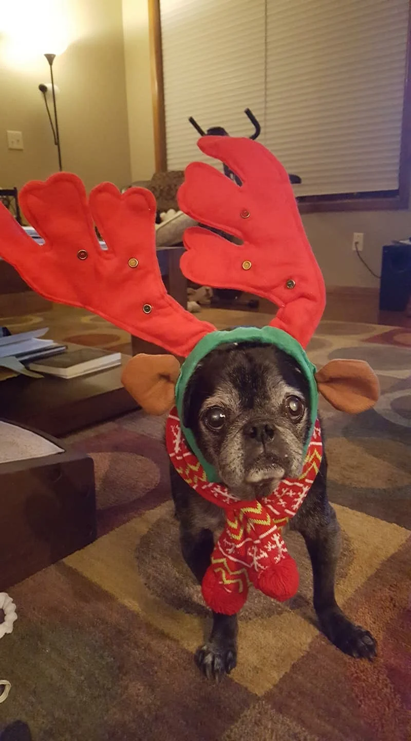 Buddy_IMG_0543.JPG