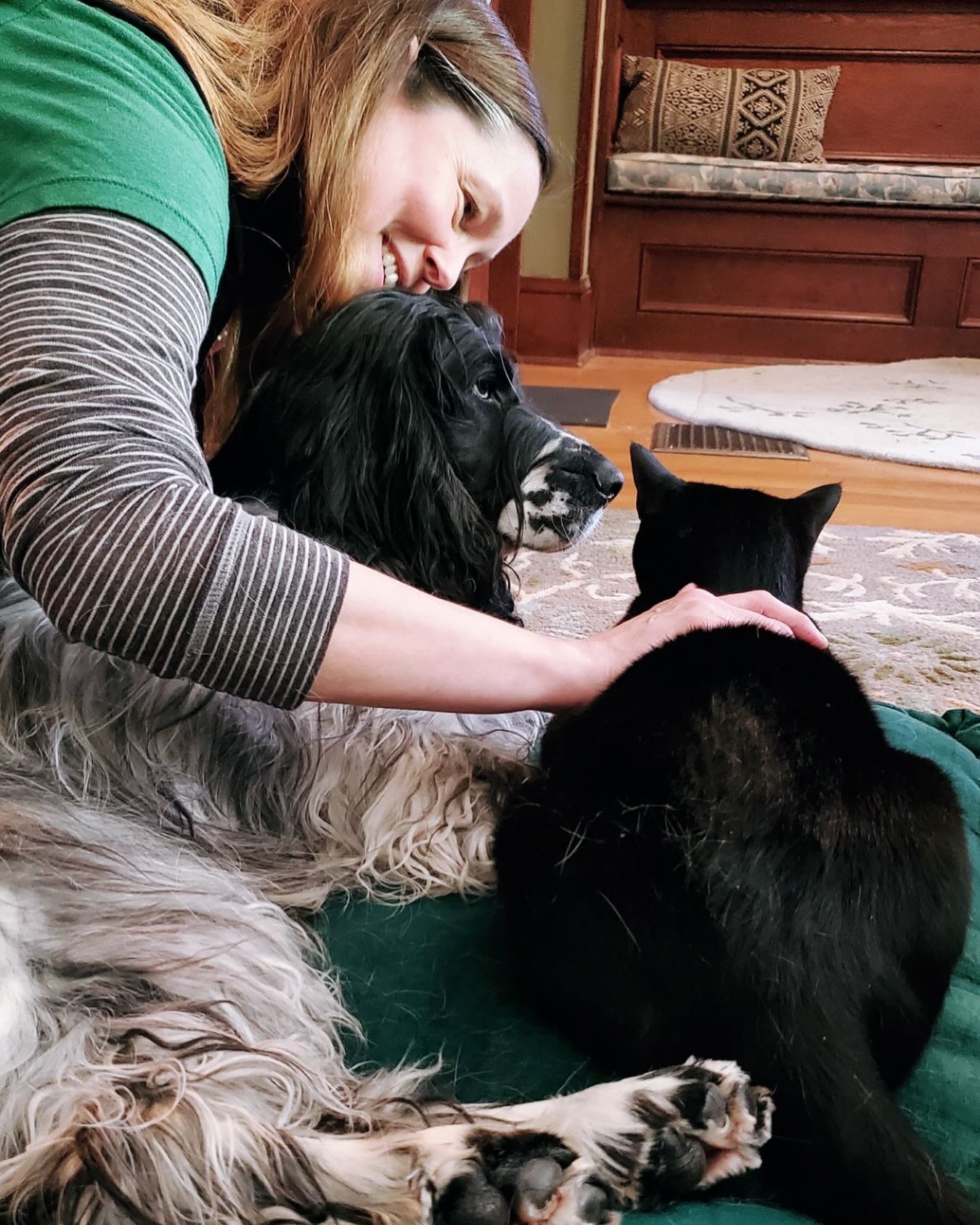 The look on Nina’s face cracks me up ;) It’s like she’s saying ‘wait a minute…it’s not Ashbee’s massage time!’
-photo credit to Nina’s family
#russianspaniel #catsanddogs #dogsandcats #alllove