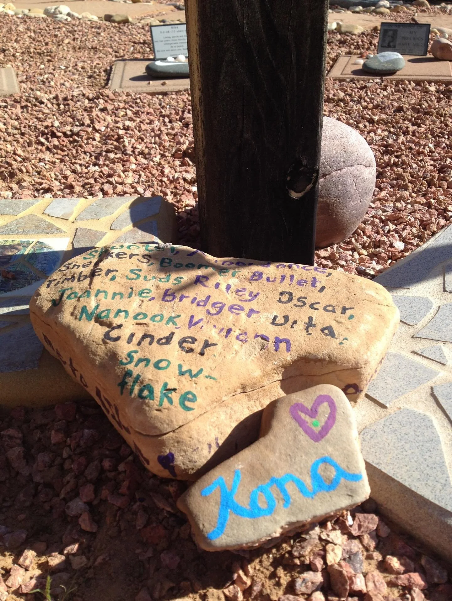 Nineteen years ago today I graduated from Animal Massage School (@nwsam)&hellip;and my gratitude for my work continues to grow everyday. 

I thought I&rsquo;d share some photos of a special trip to @bestfriendsanimalsociety I took with the school in 