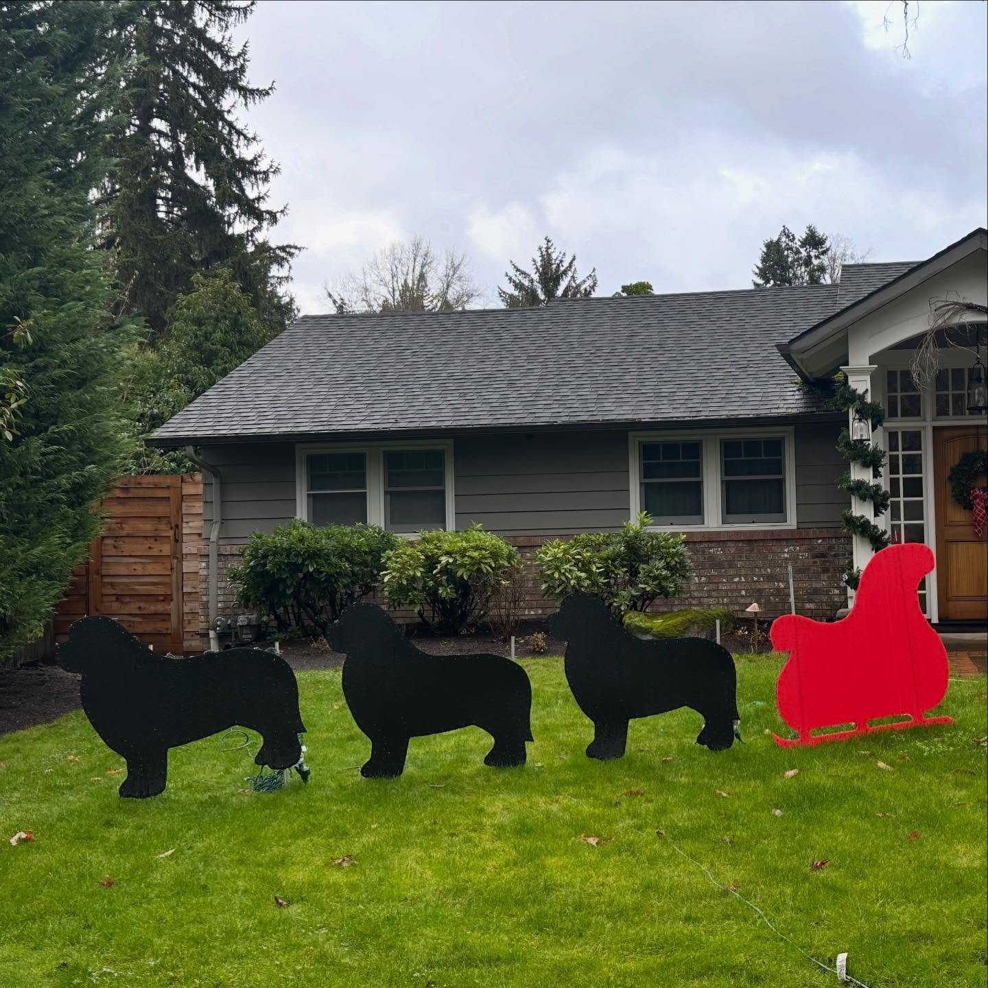 Boots+Leroy+Cole=Santa&rsquo;s handsome delivery drivers ✨❄️&hearts;️✨

#newfielove #happyholidays #caninemassage