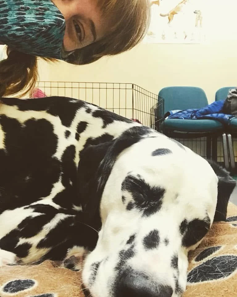 Hemi. I had the honor to work with Hemi for the past six years. From the start, he had my heart.

He was the epitome of the word gentleman. For the first few years, his sessions would begin with a set ritual. It began with a polite and genuine greeti