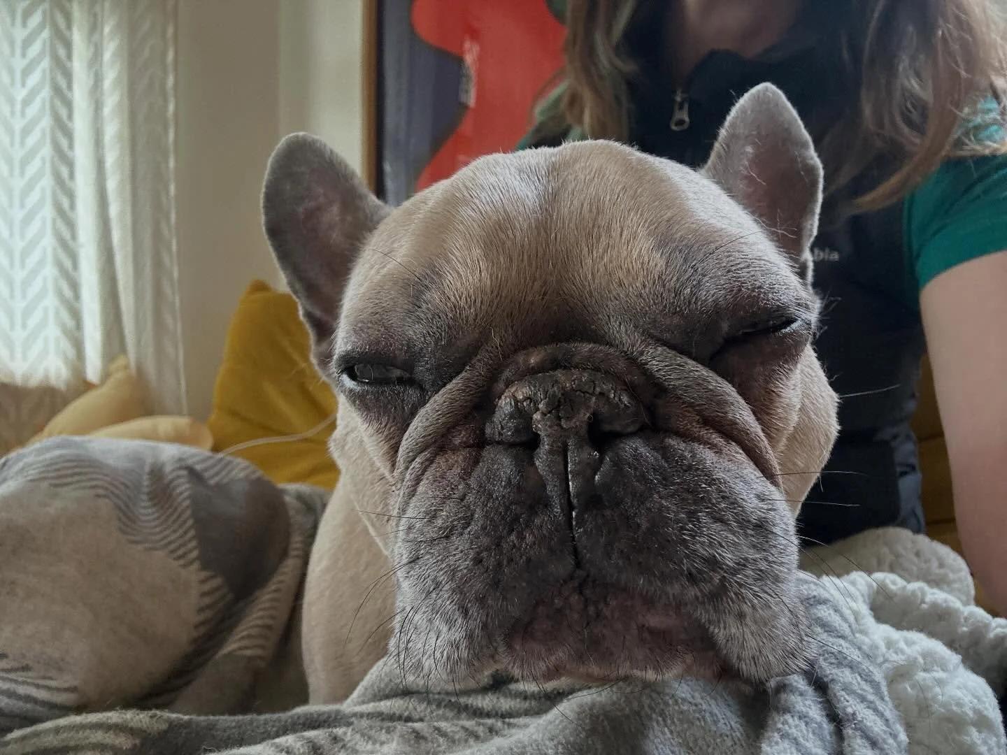 Snooooozy Hugo 💛