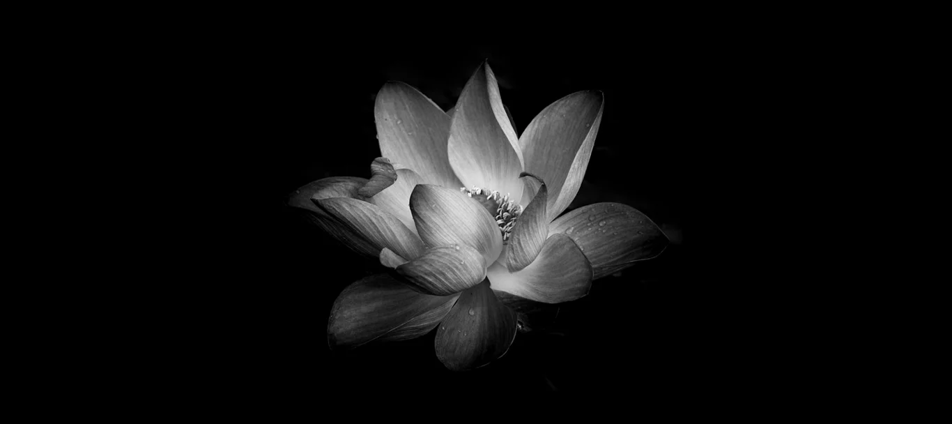 Dark Room Meditation — Amaya