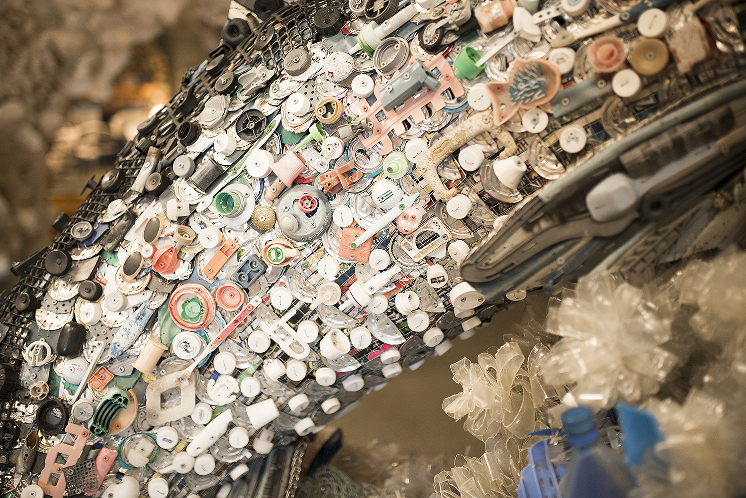 Washed Ashore Workshop