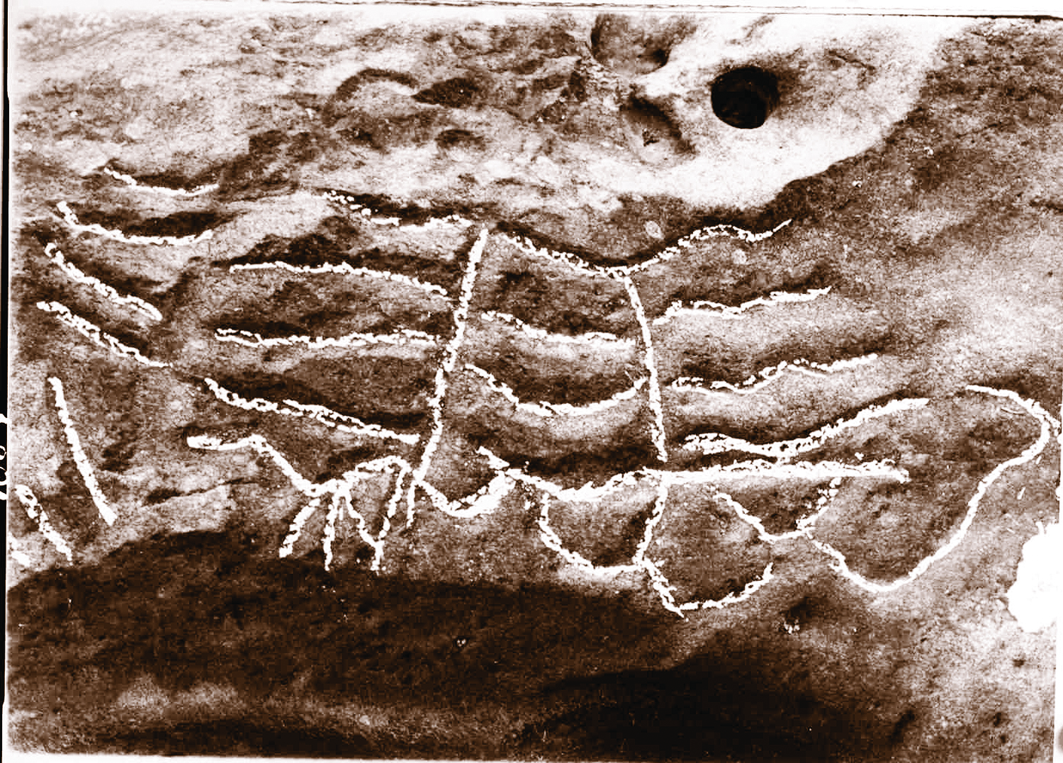 Native carvings in the Umpqua River near Scottsburg.