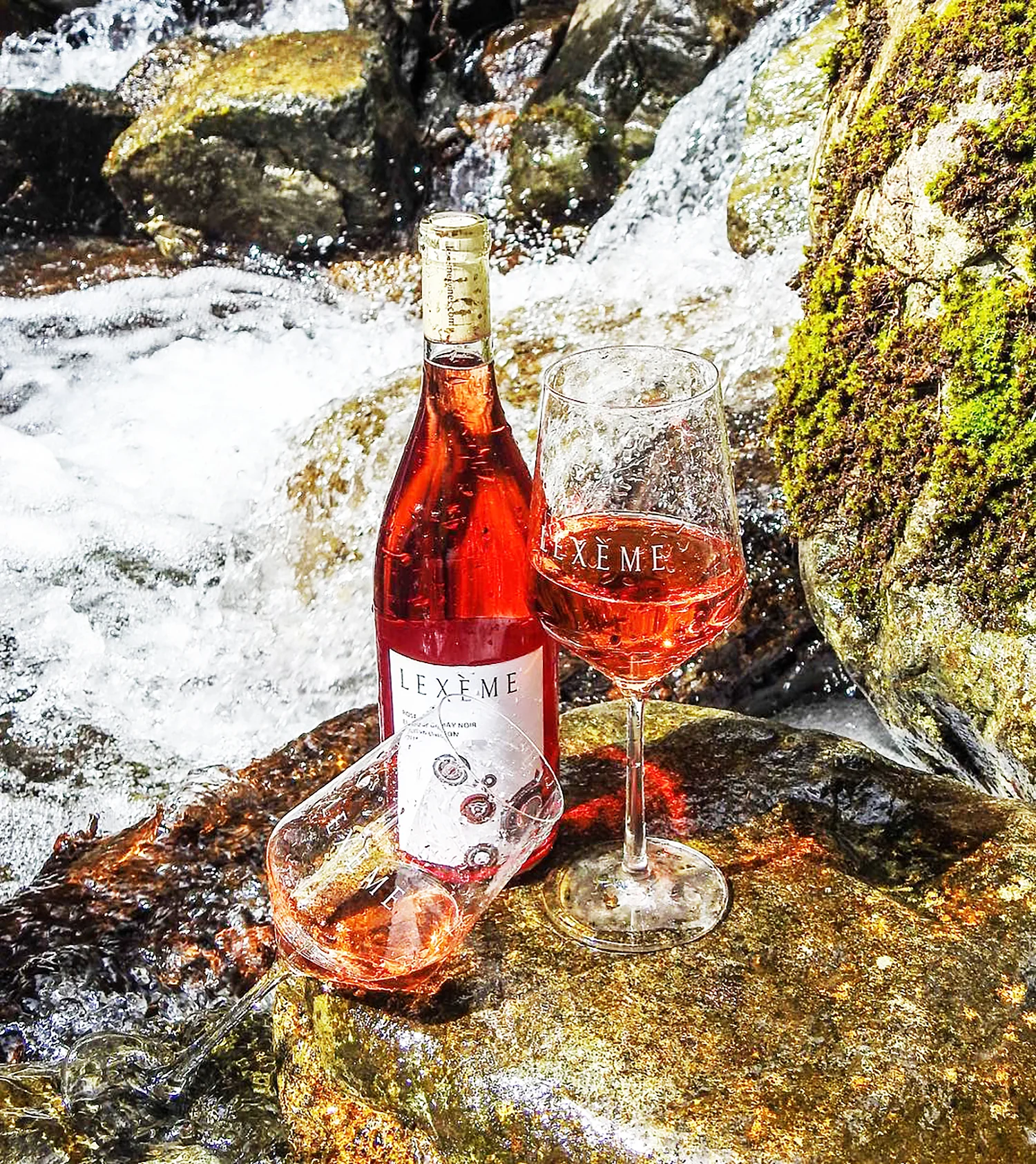 Photo by Drink in Nature Photography