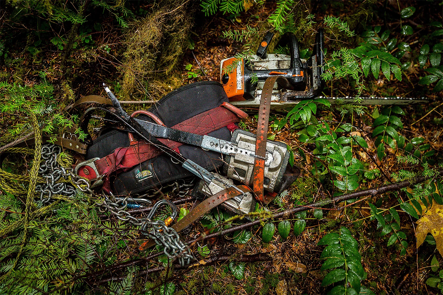 Tools of the trade.