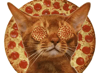 1490129559-giphy.gif
