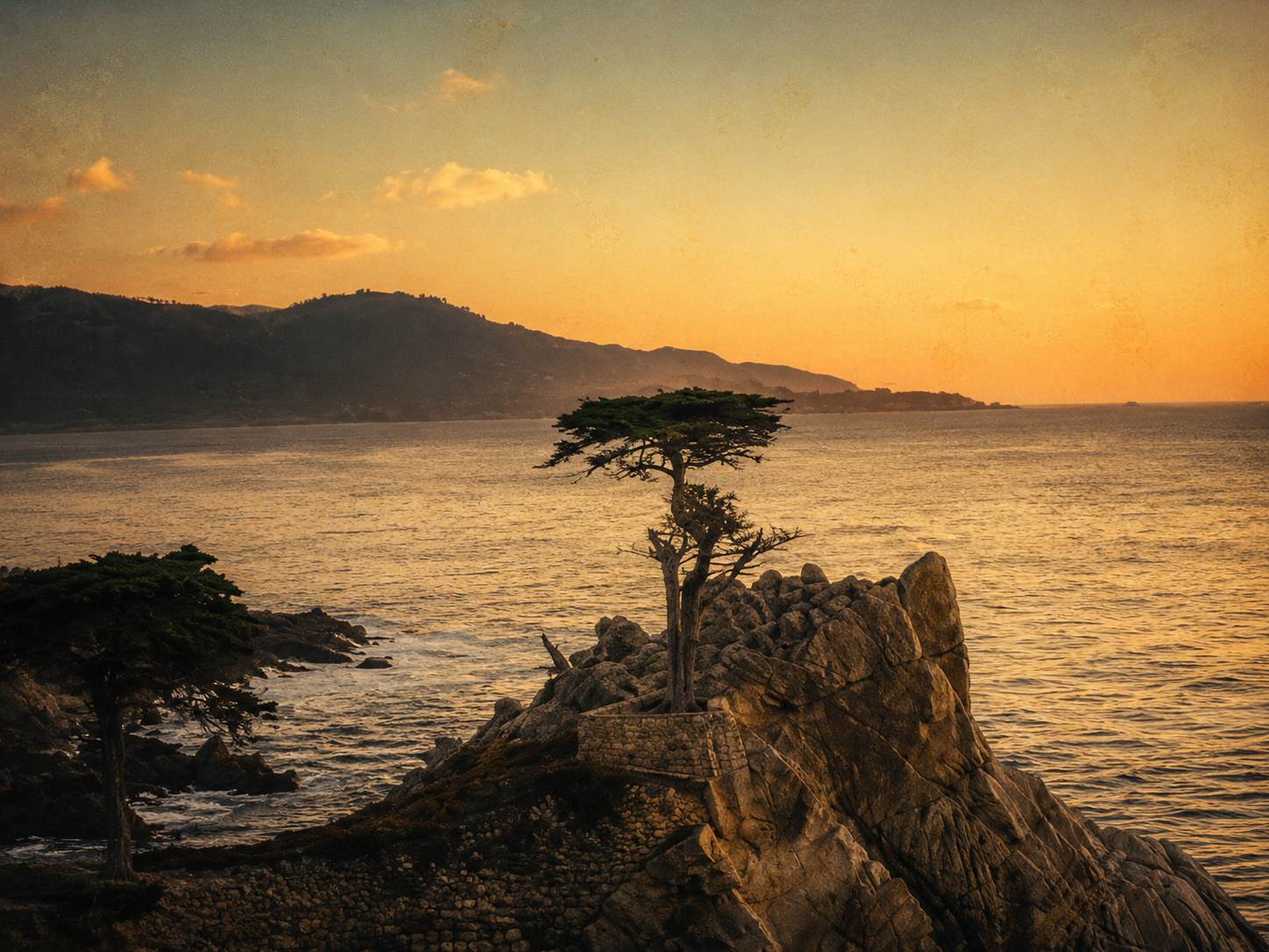 The Lone Cypress, 17 Mile Drive