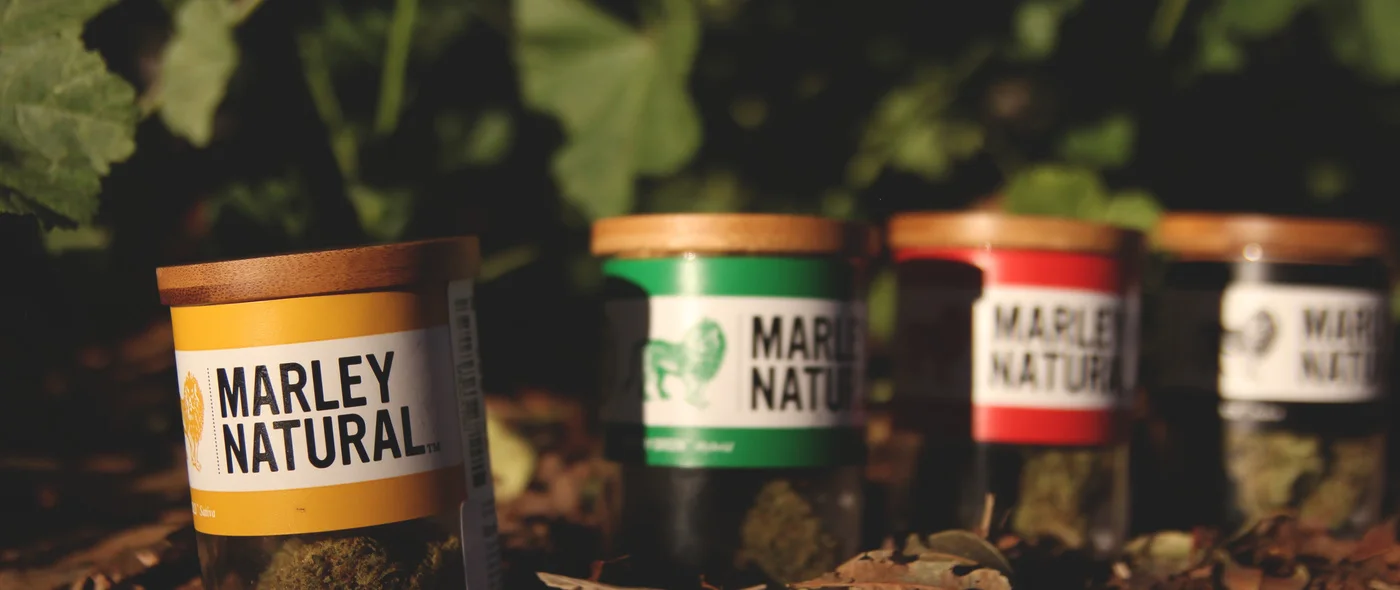 876-header-255618288-97-lg.jpg