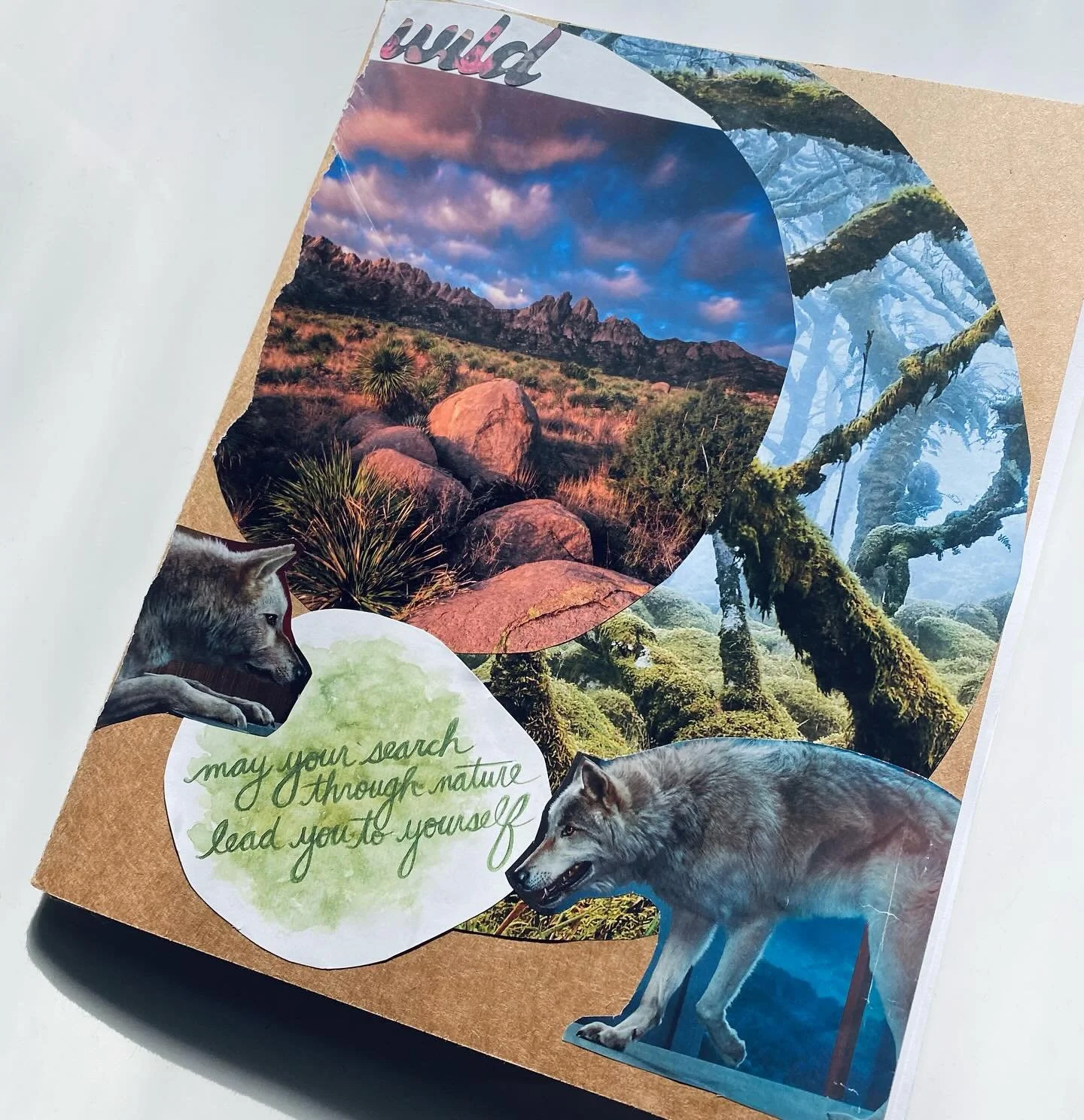 Journeying with Women Who Run With the Wolves provides deep initiations. Its raw wisdom calls to the wild soul within us, guiding us. This year, I turned to it once again, with a group of women, and found myself moving deeper into the spiral of life,