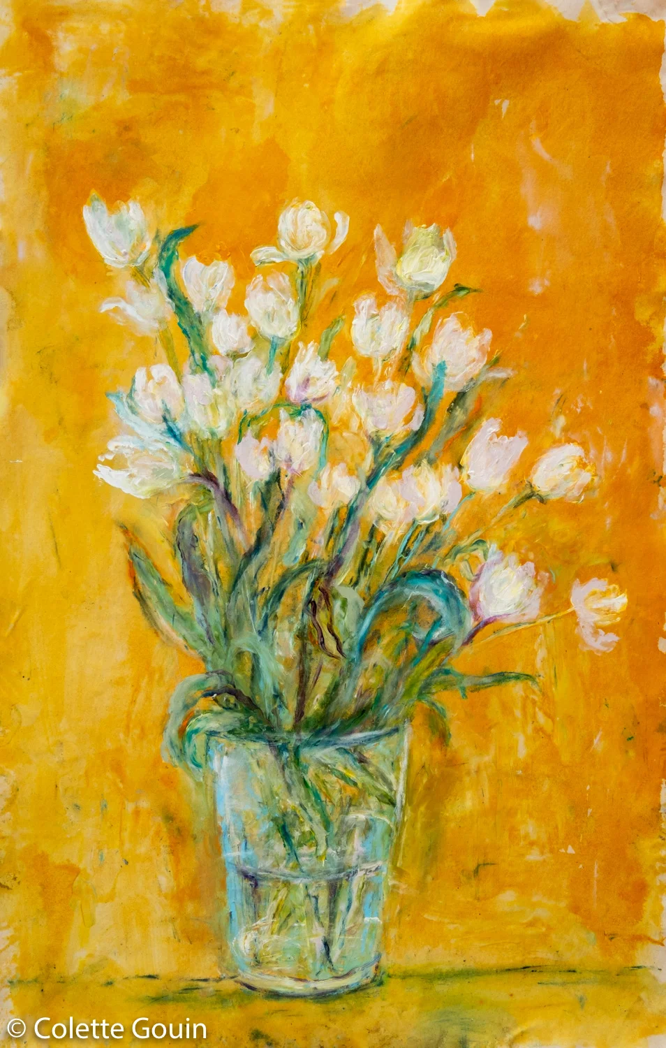 Sighting Spring