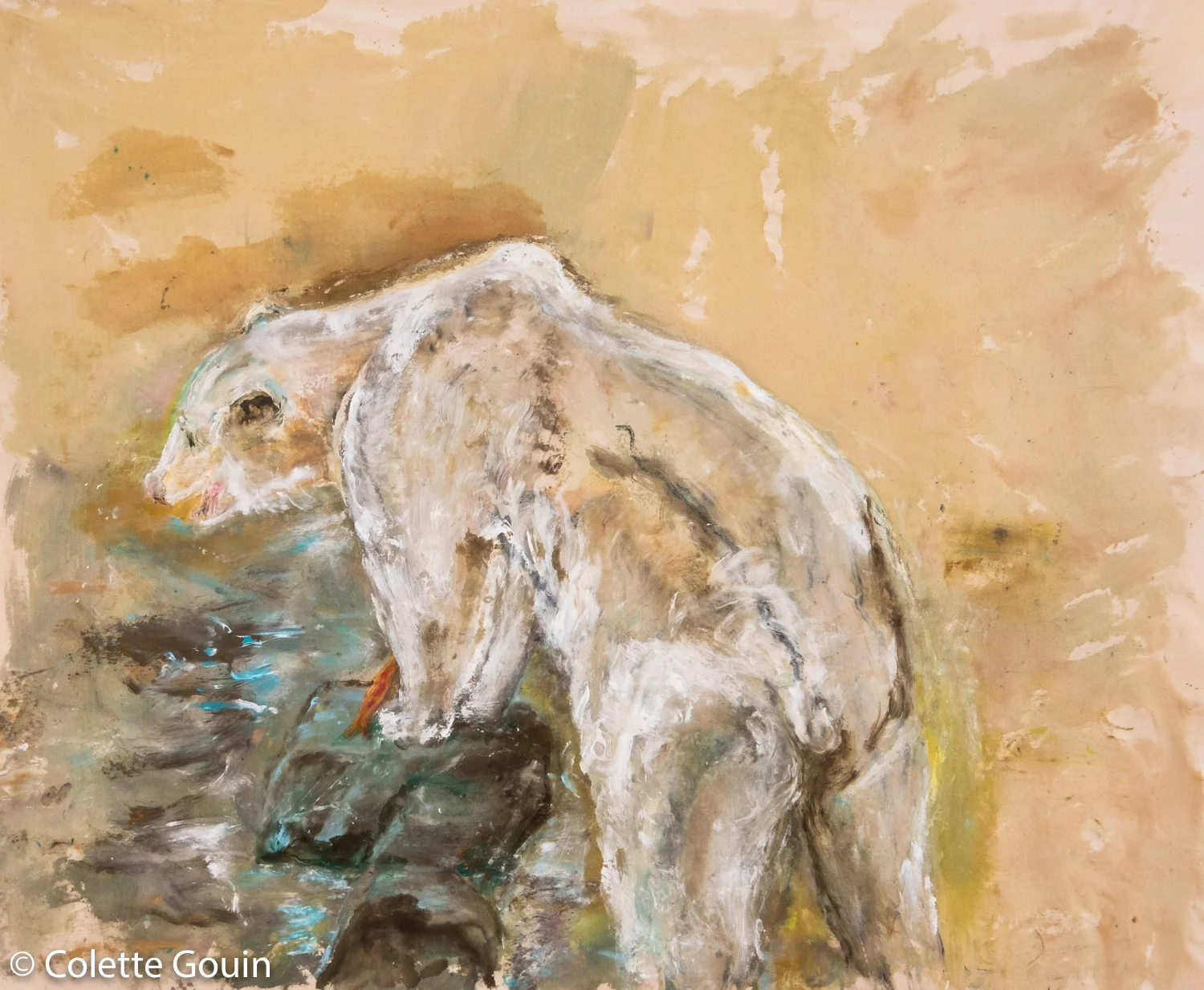 Spirit Bear