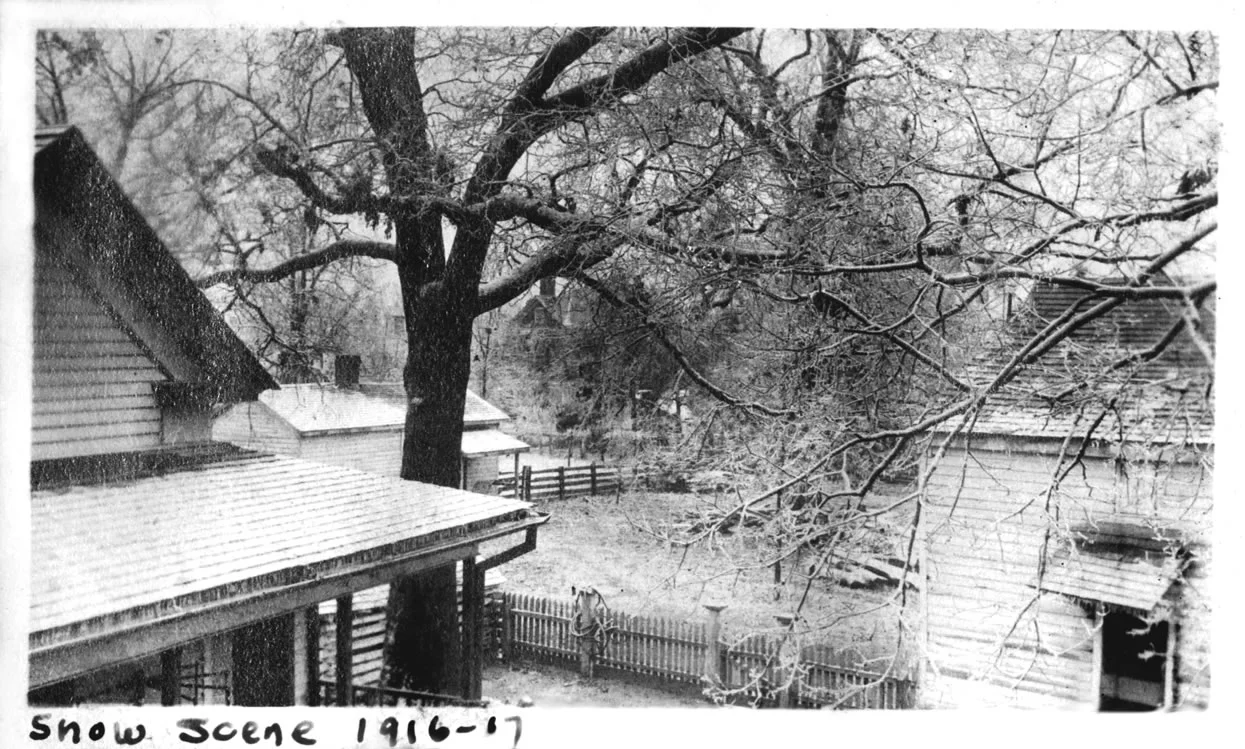 This image, taken from the rear porch of the White Home shows a home or two in the background. These homes were along newly developed Reid Street. Courtesy of the HRH Collection - 2006