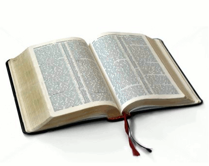 book pages.gif