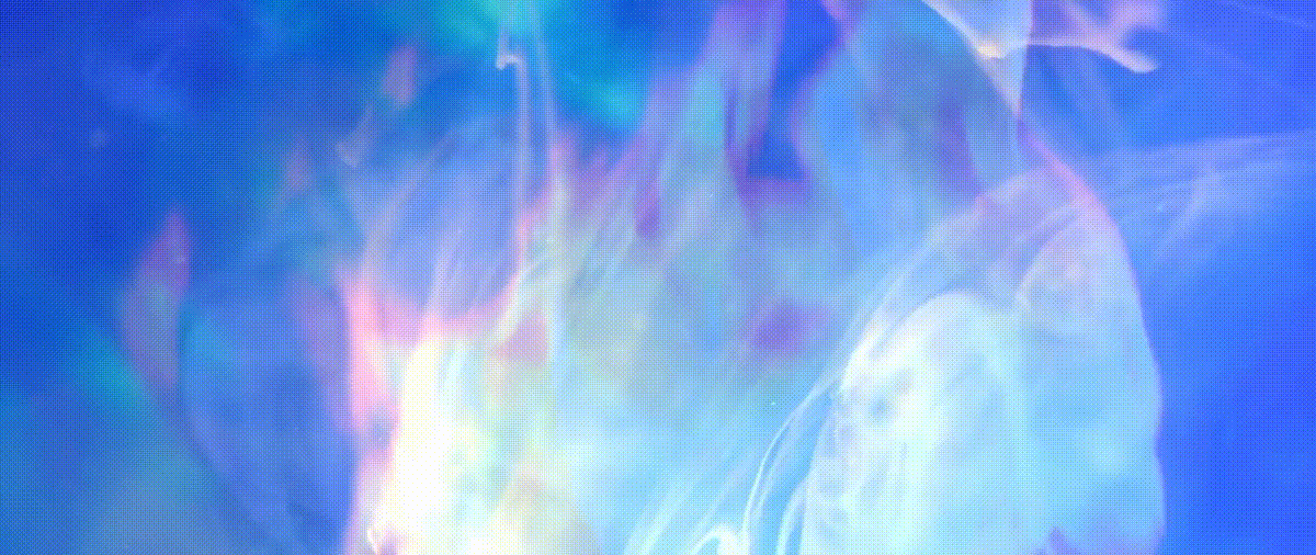 pentecost banner.gif