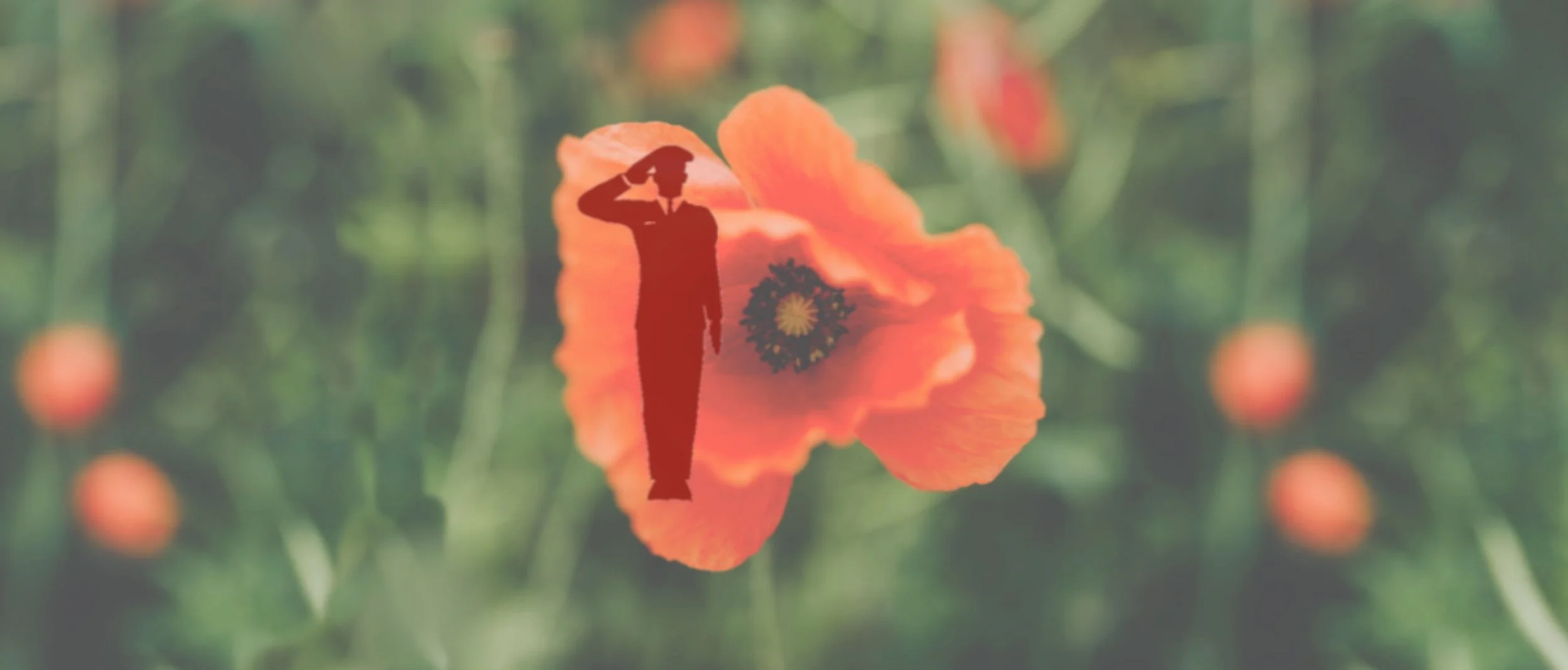 remembrance-poppy-soldier.jpg