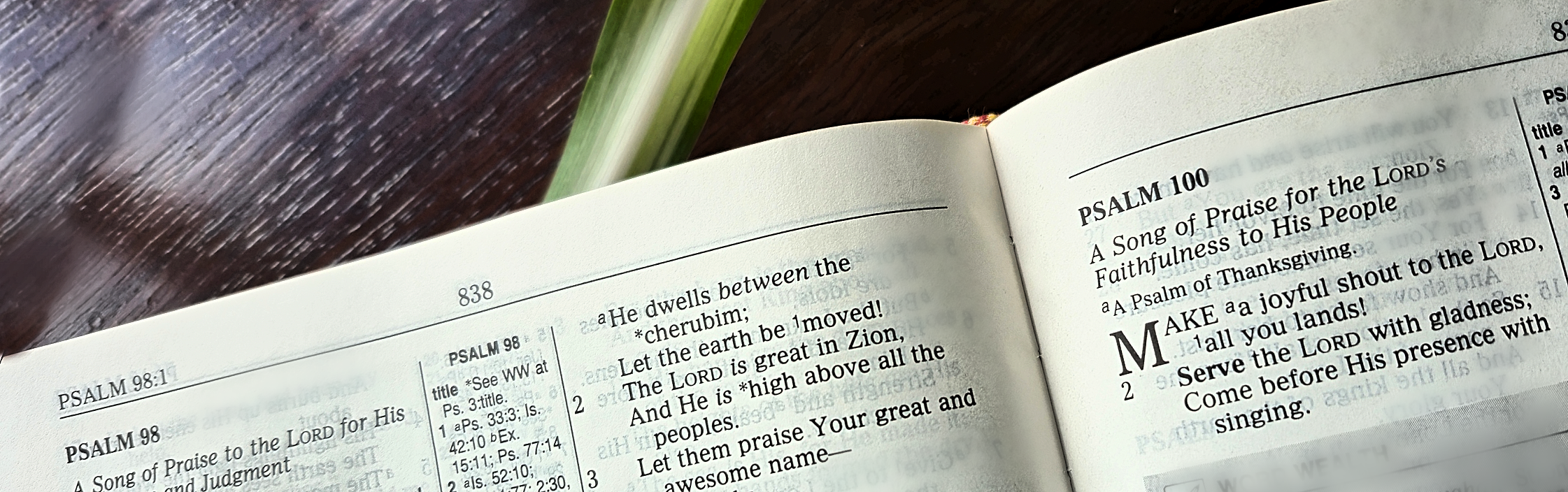 psalm 100 banner.png