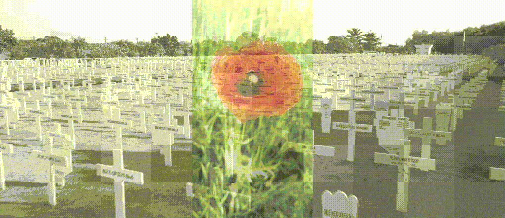remembrance.gif