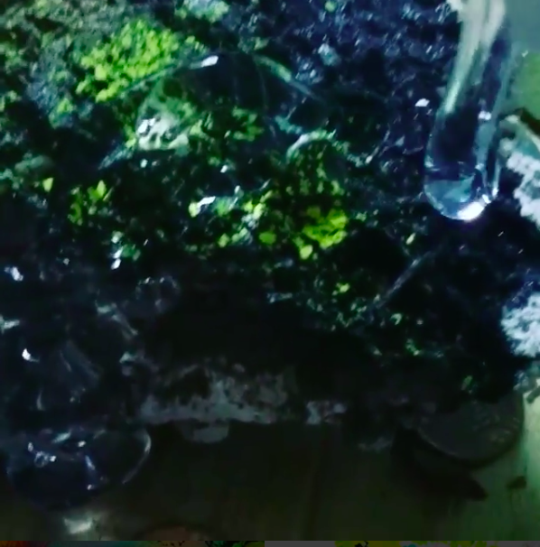 Screen Shot 2018-06-19 at 3.52.52 PM.png