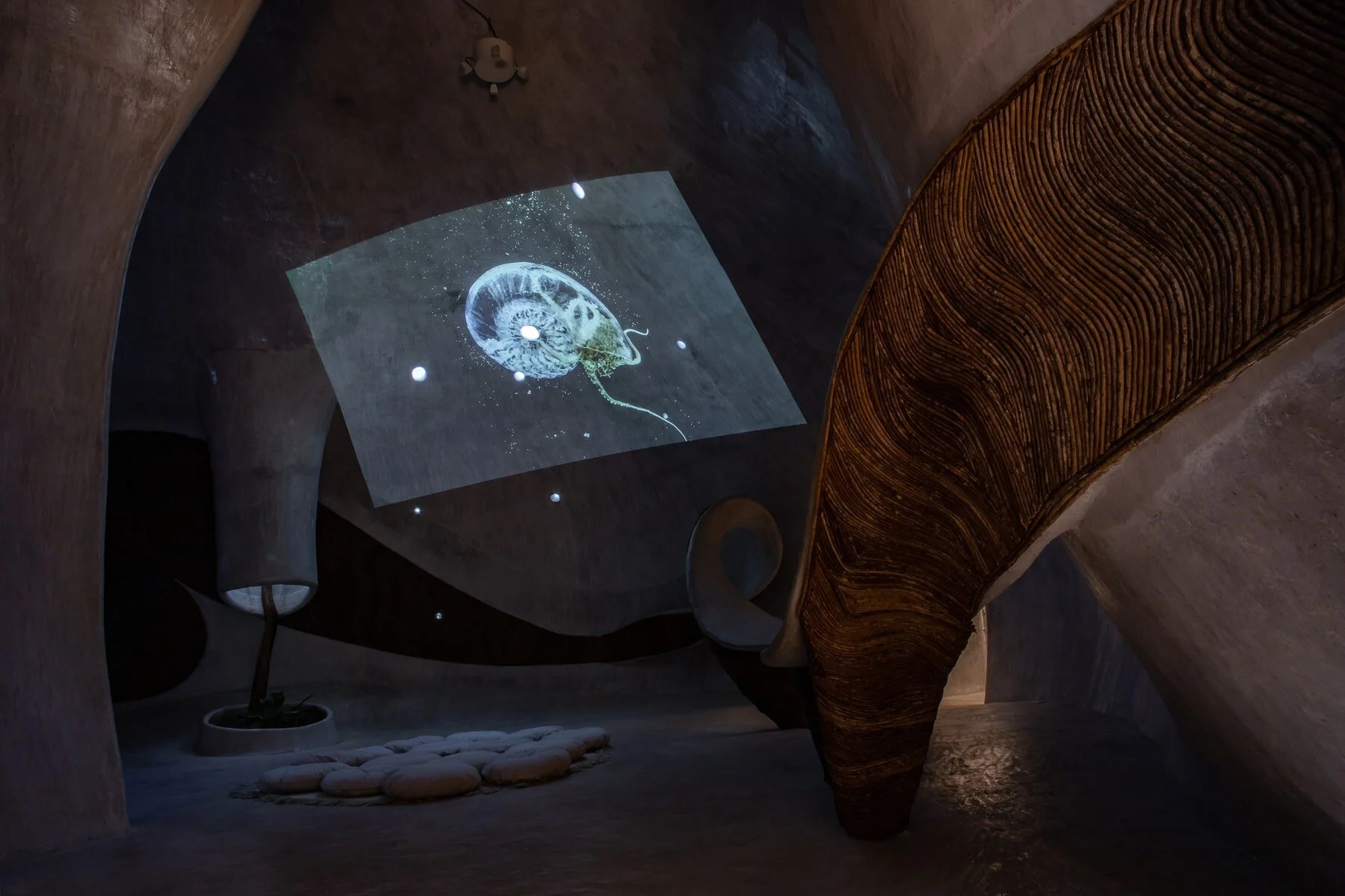 Director / Producer Sceno and Data Garden / Alliga exhibition / Aki Inomata