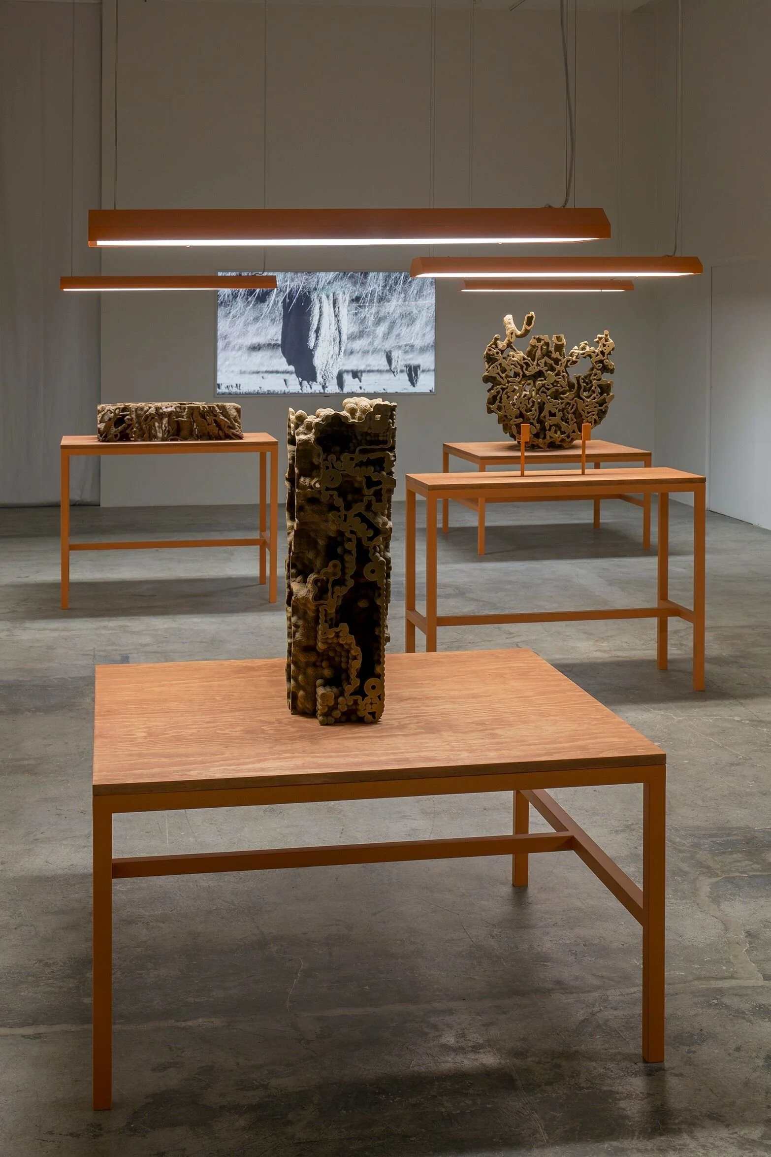  Nicholas Managan / Termite Economies 