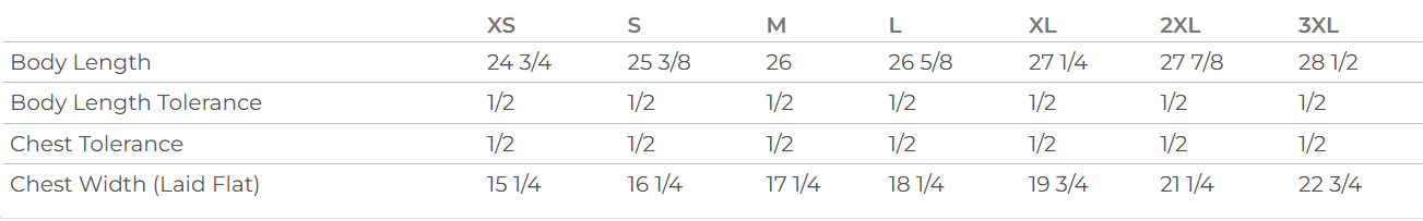 3900 next level womans sizing chart.png (Copy)