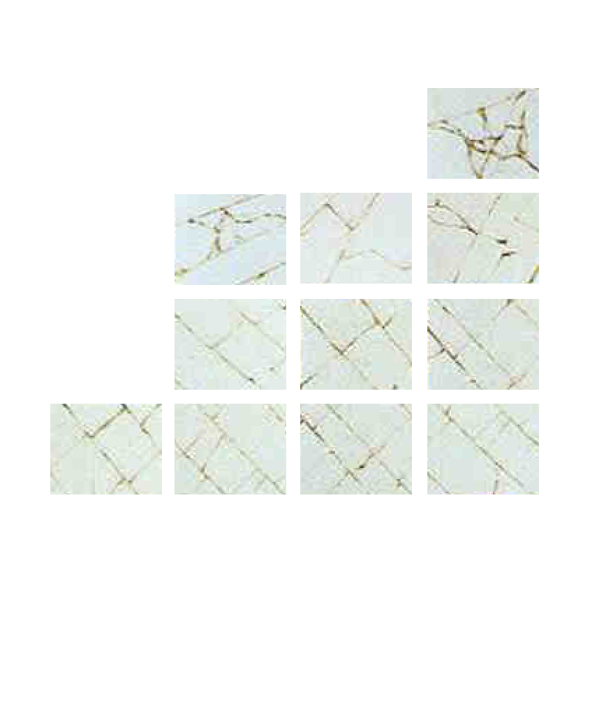 Broken Large Glass 1