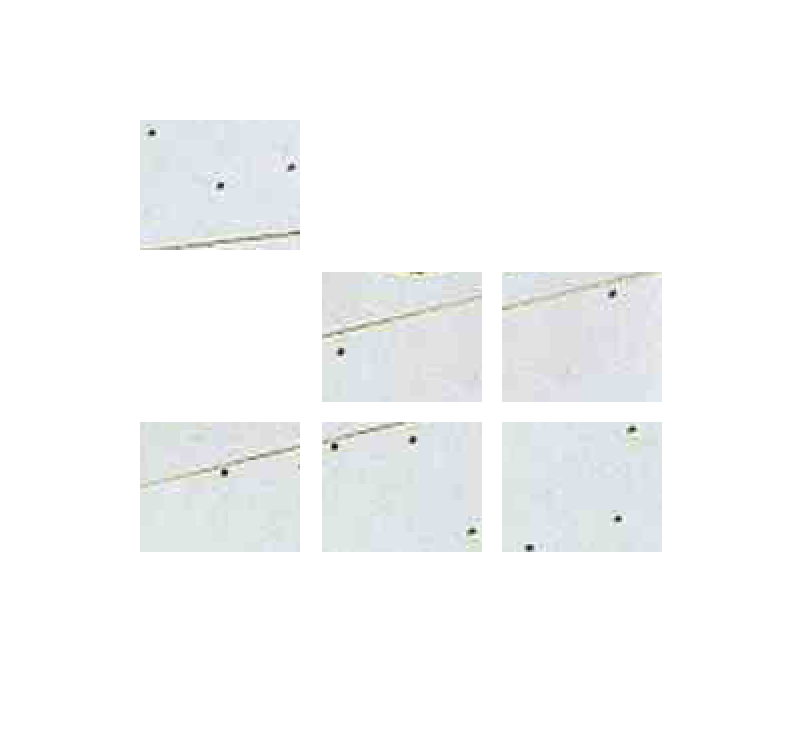 Broken Large Glass 2