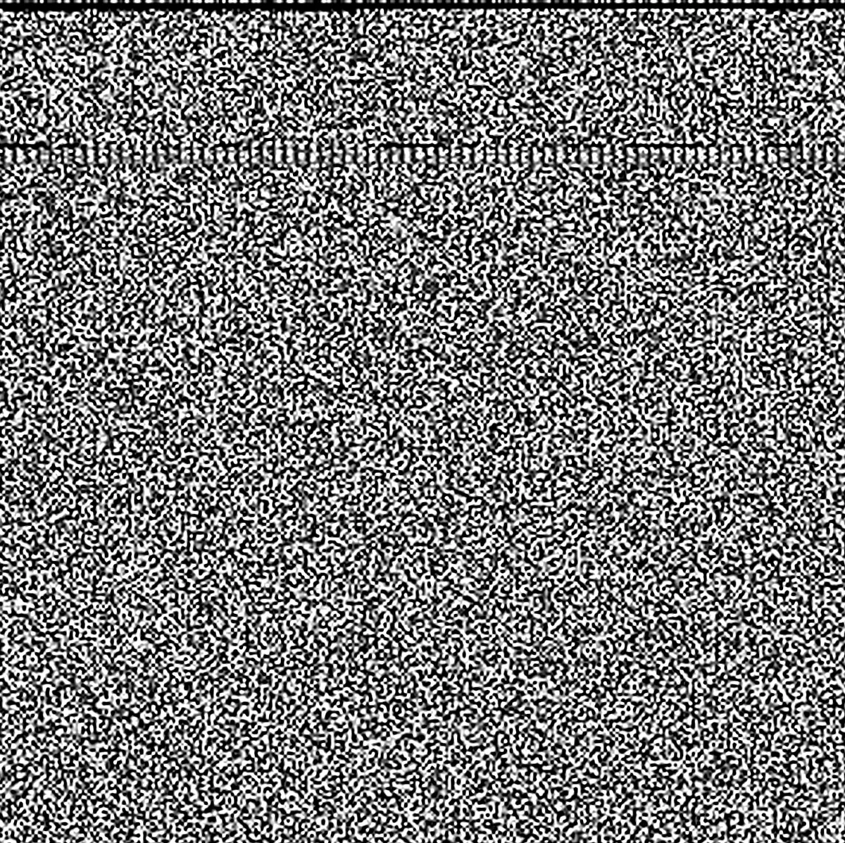 noise-4.jpg