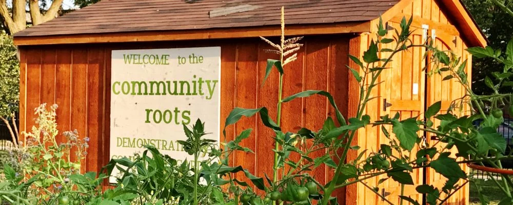 Community-Roots_7.19.2017-11-1000x400.jpg