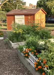 Each community bed is unique, some tended by individuals, others shared between couples and families.