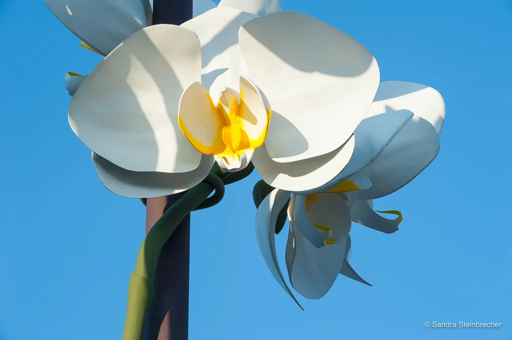 Art in the Parks: How to Install a Giant Flower