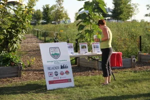 The natural area at Northerly Island, Camp Northerly 2015