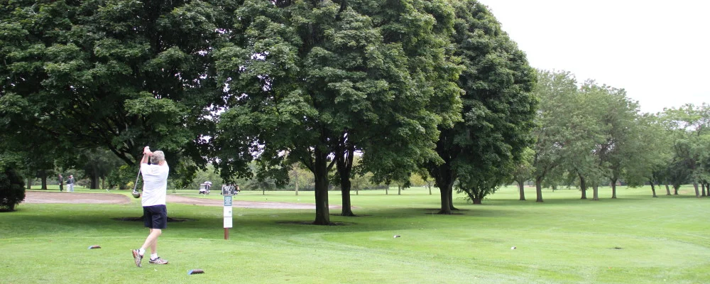 Tee Up in Chicago Parks in Summer 2016