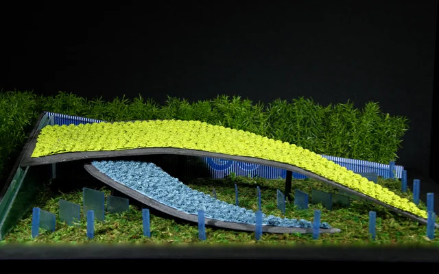 First U.S. Garden to Bloom in Ireland - from Chicago!