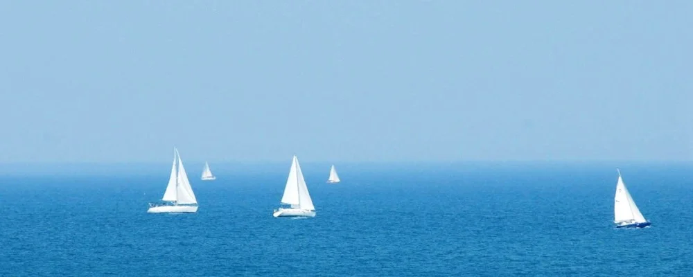 sailboats_crop1-1000x400.jpg