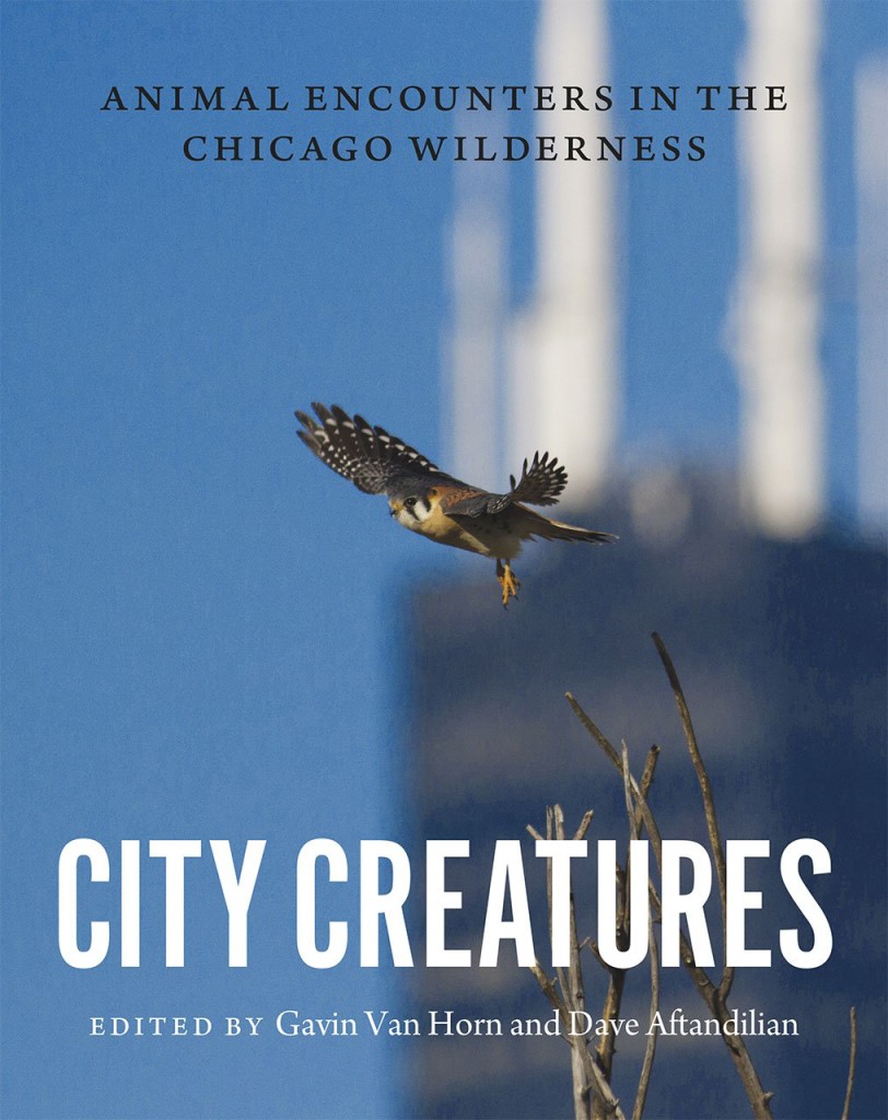 Holiday Gift Idea: City Creatures 