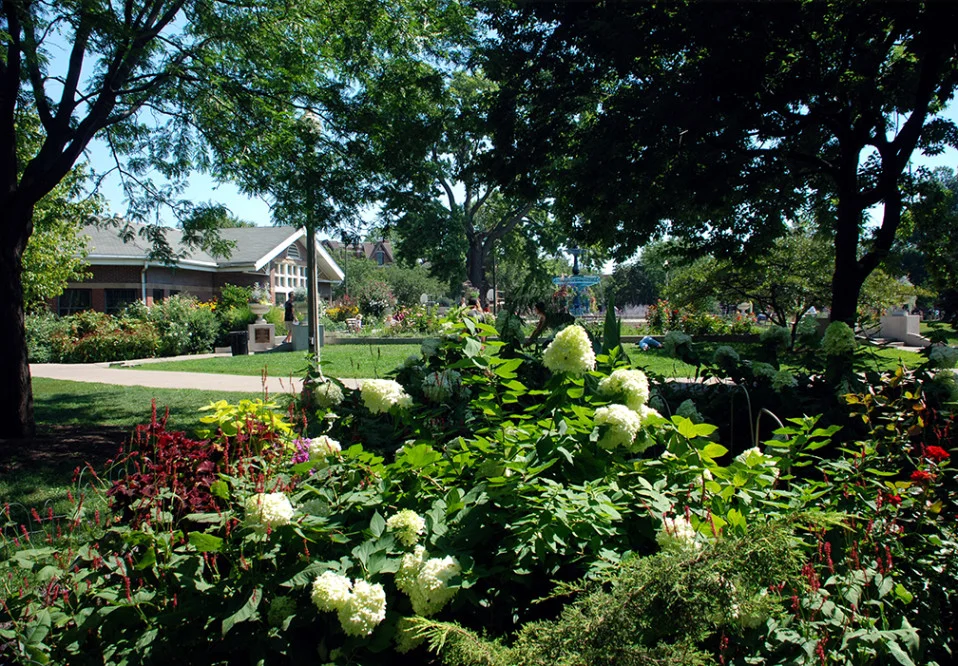 Spotlight: Wicker Park Advisory Council 
