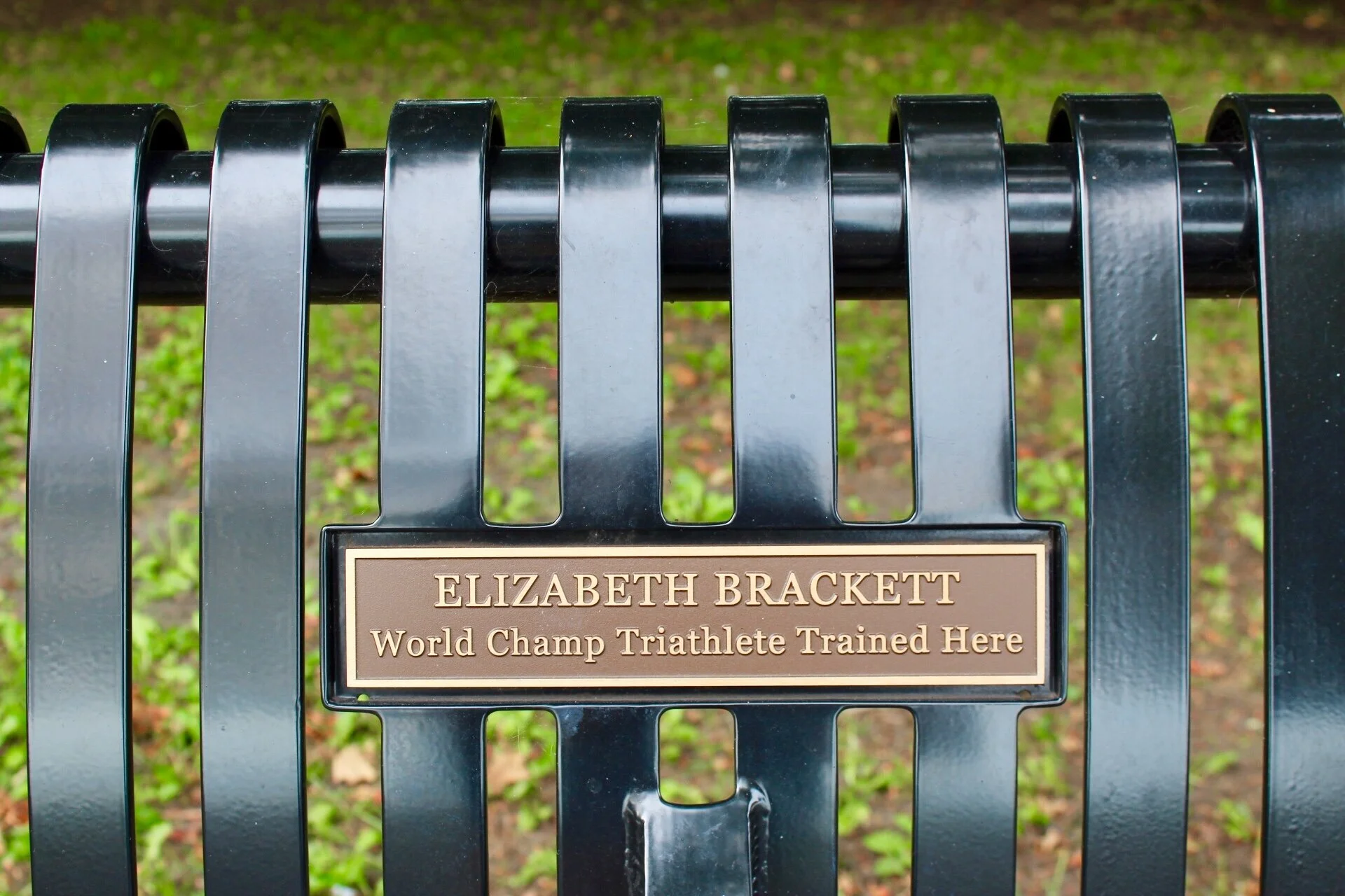 Dedicate a Bench — Chicago Parks Foundation