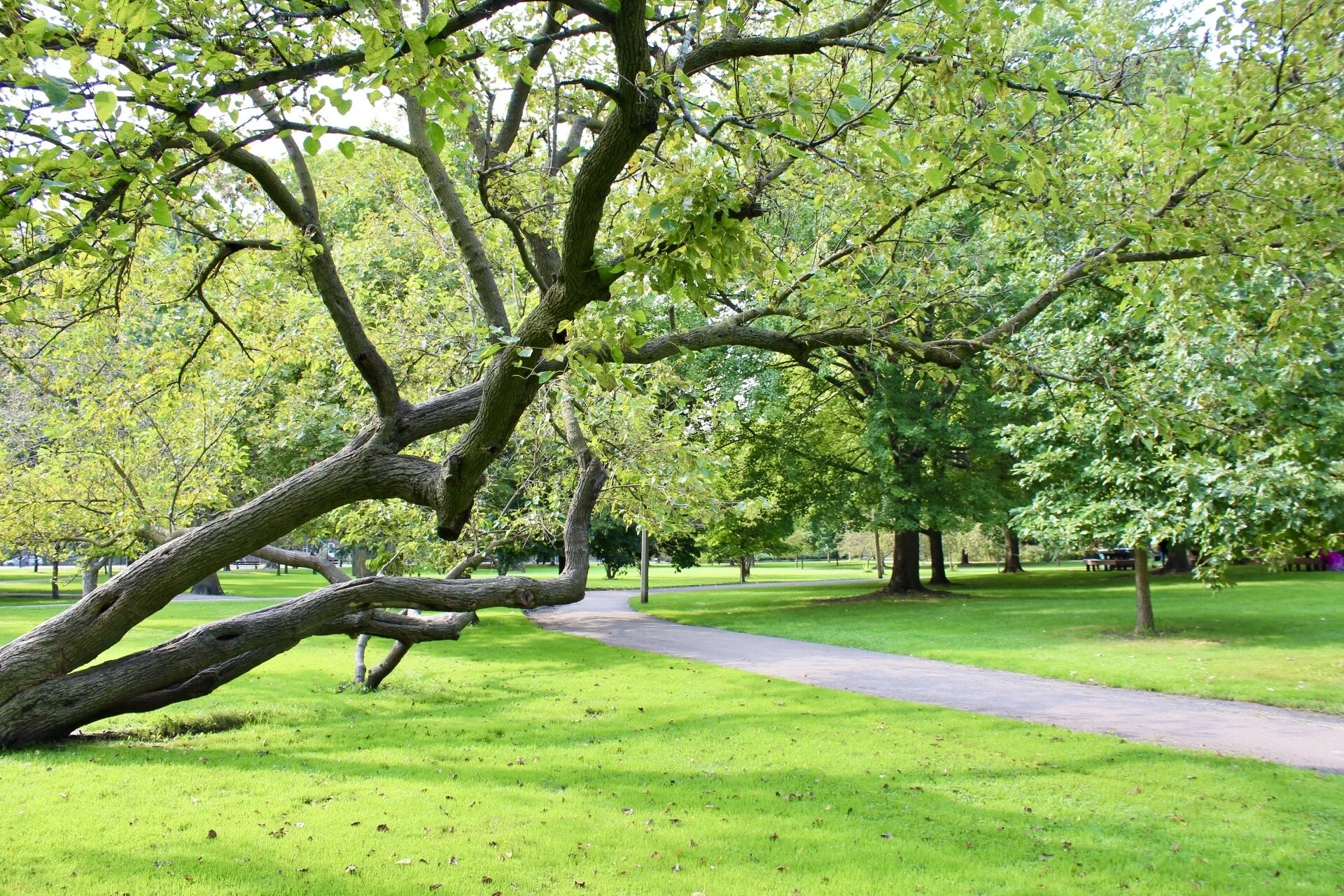Our parks are still here for you