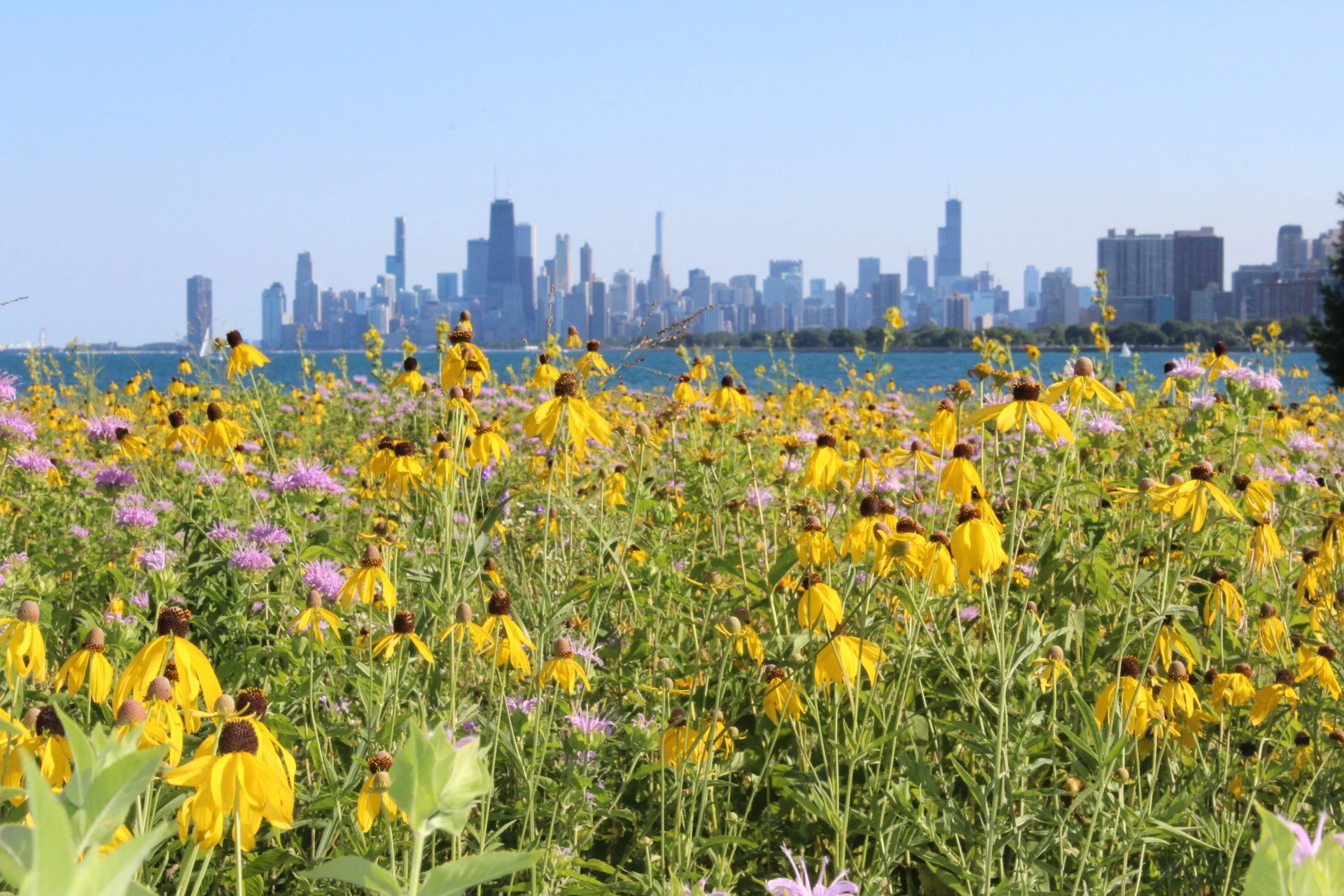 Feeling cooped up? Park yourself here
