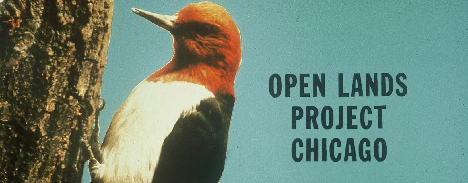 Openlands looks back at Earth Day 1970 in Chicago