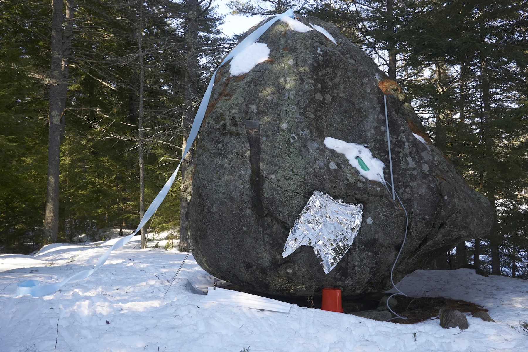 _DSC0848.jpg