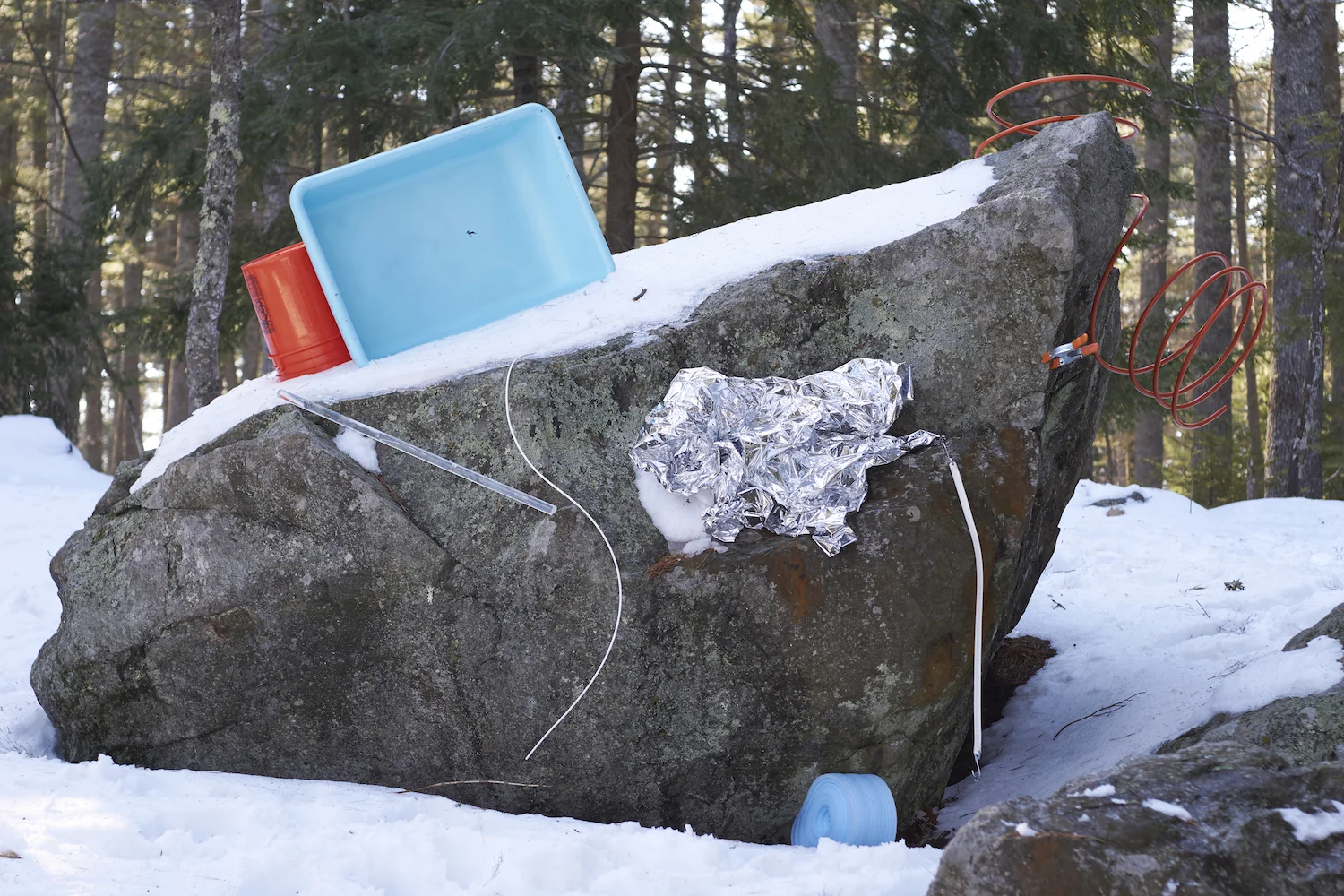 _DSC0892.jpg