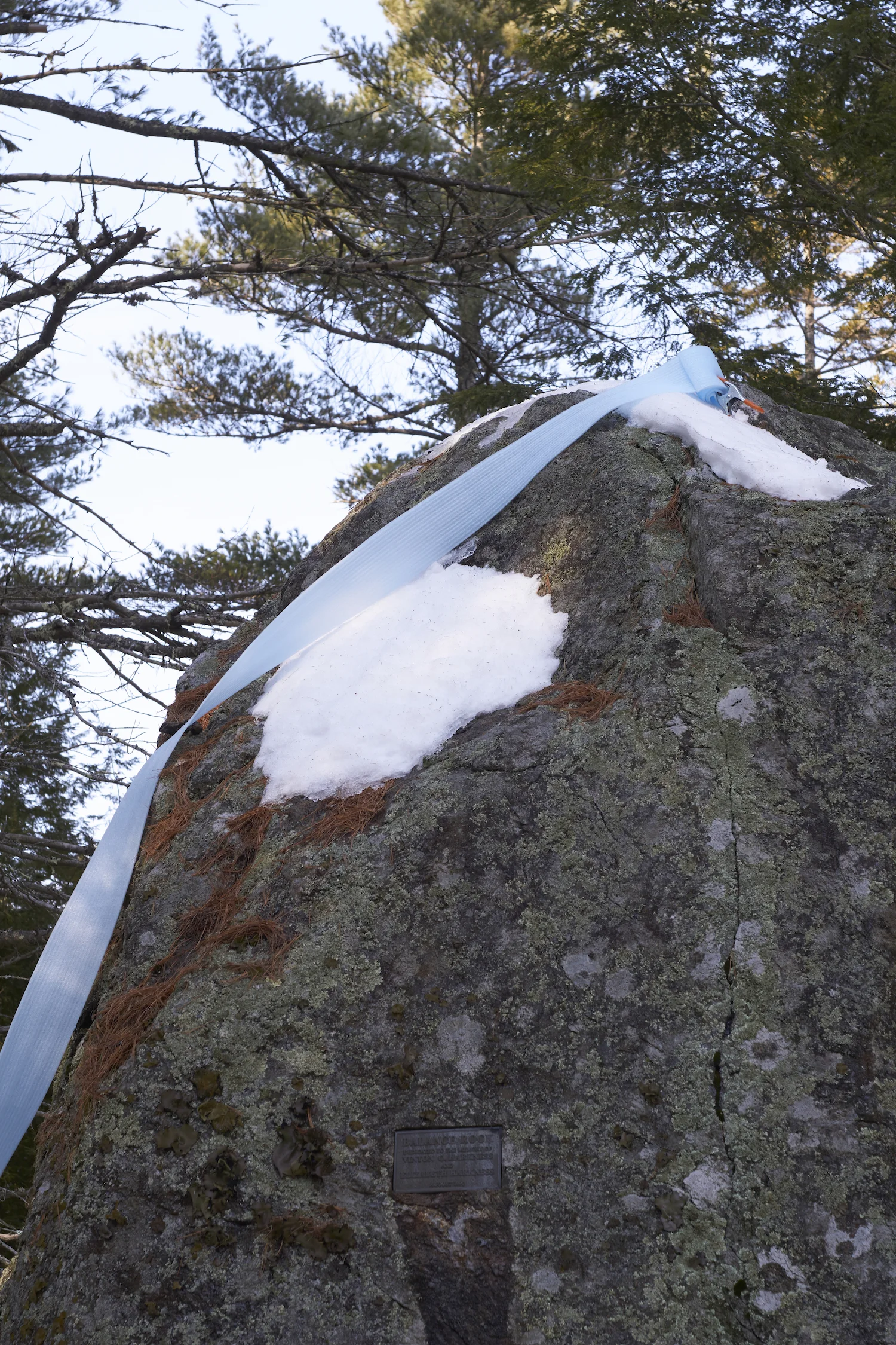 _DSC0806web.jpg